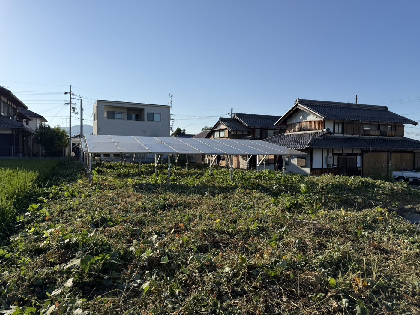 除草後。パネル周辺が刈り込まれた様子