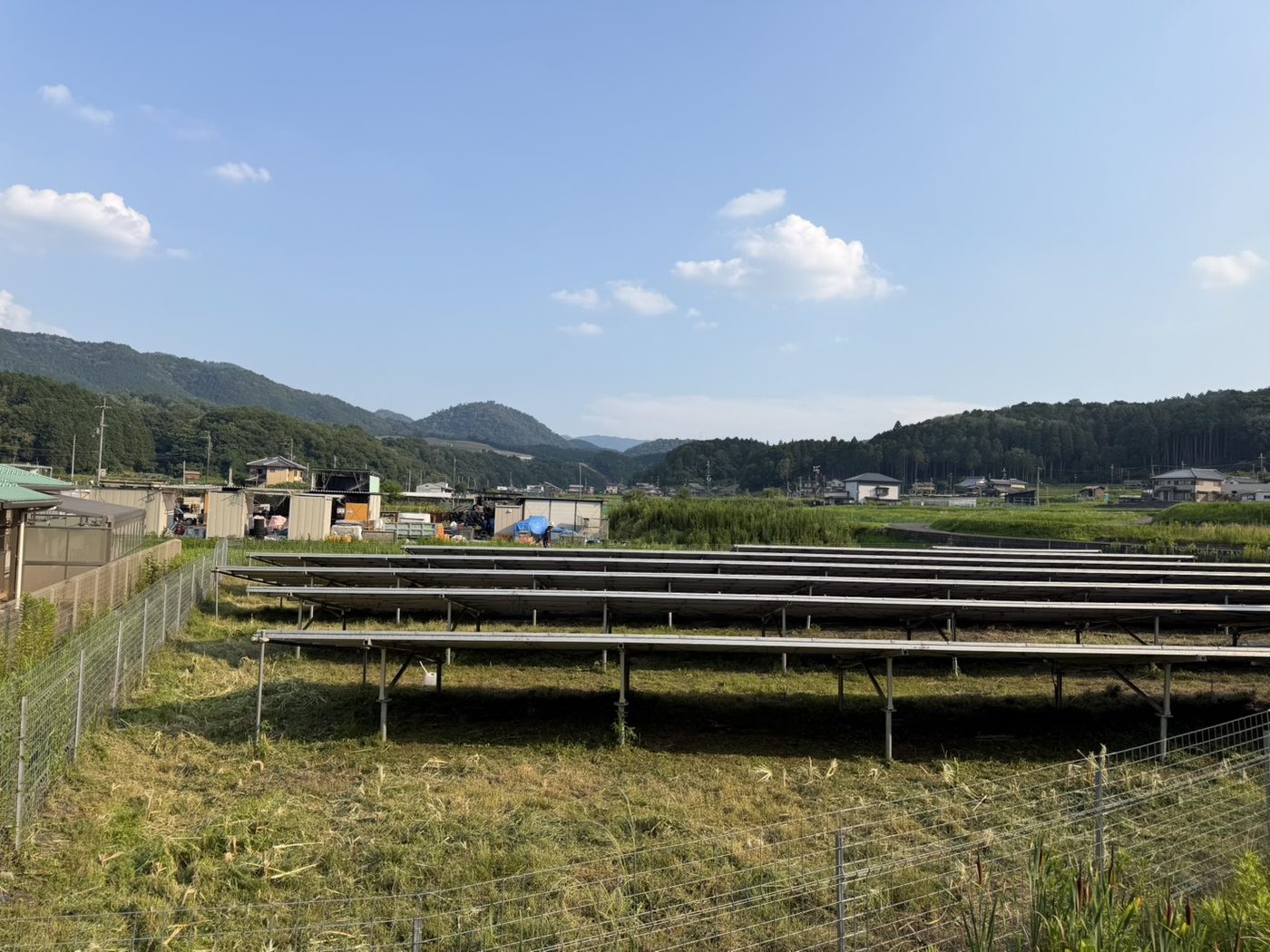 除草後。斜面側まで刈り込まれた様子