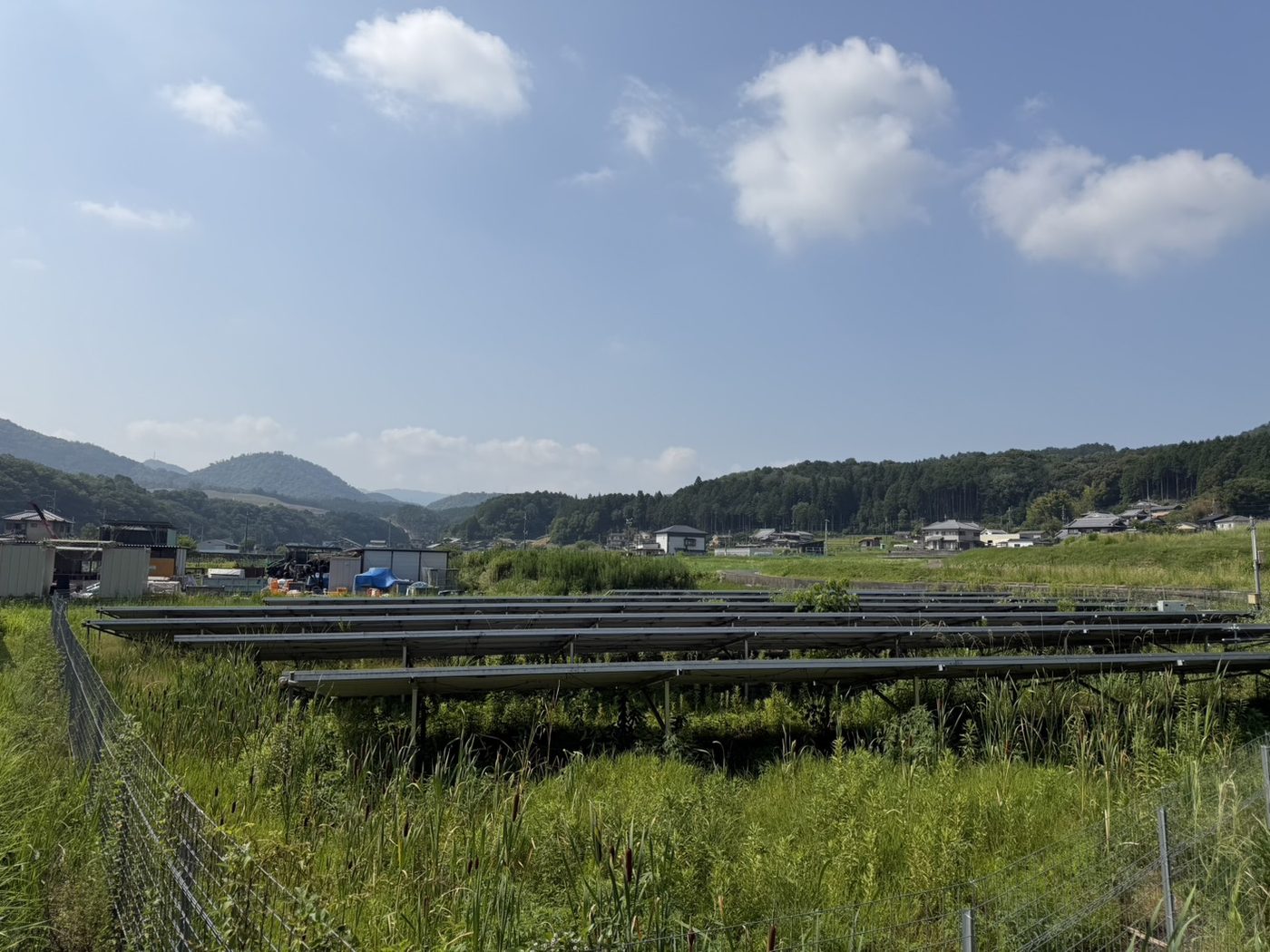 除草前。斜面側まで草が伸びている様子